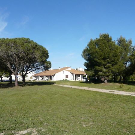 Mas Du Clos De La Barque Saintes-Maries-de-la-Mer Bagian luar foto