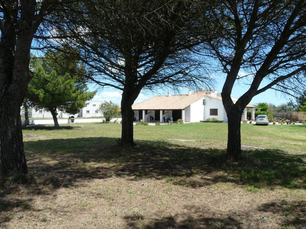 Mas Du Clos De La Barque Saintes-Maries-de-la-Mer Bagian luar foto