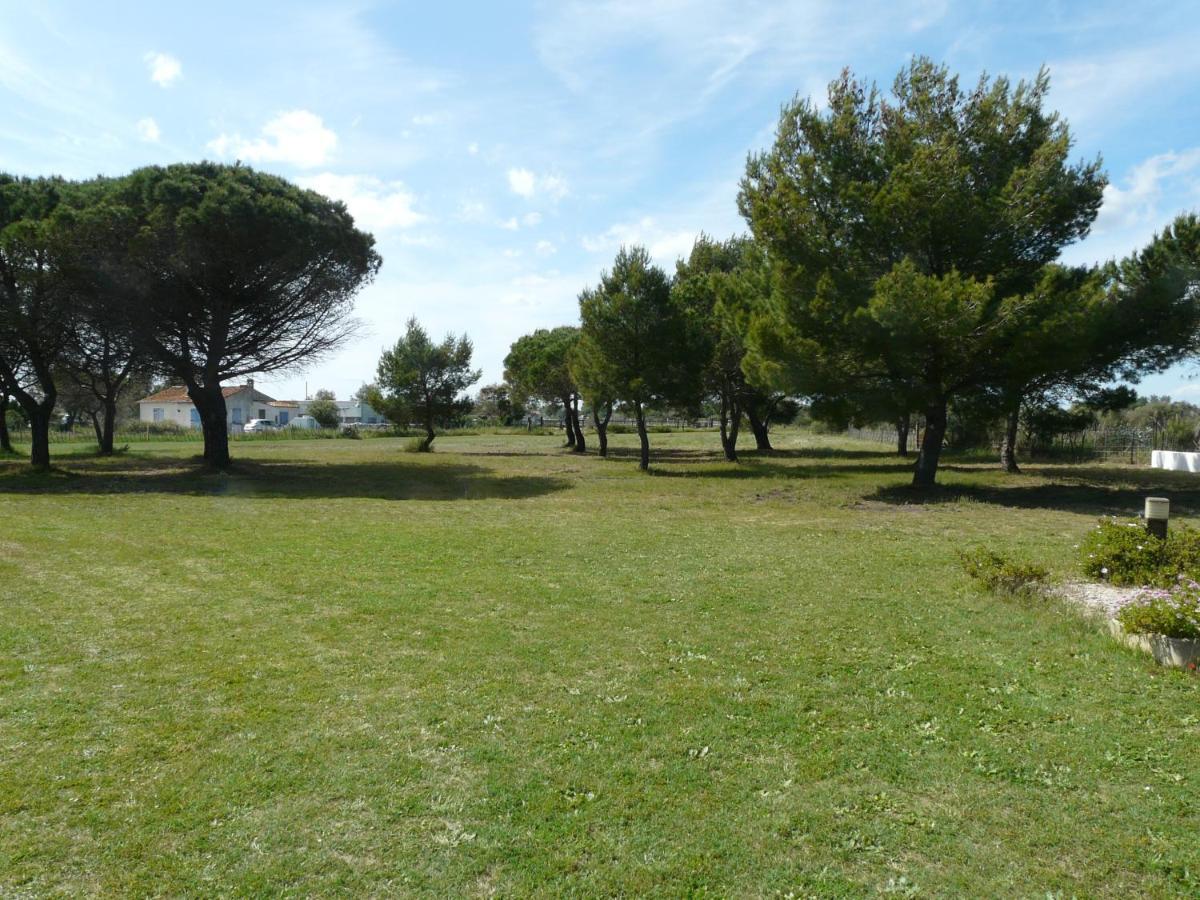 Mas Du Clos De La Barque Saintes-Maries-de-la-Mer Bagian luar foto
