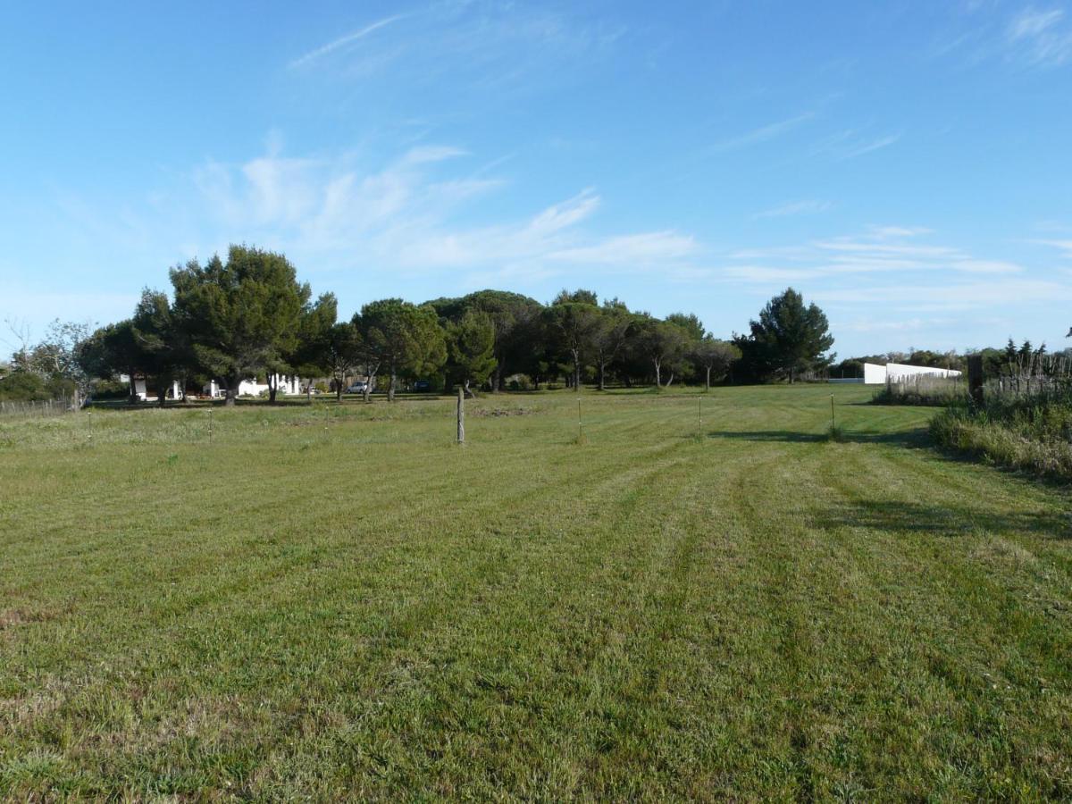 Mas Du Clos De La Barque Saintes-Maries-de-la-Mer Bagian luar foto