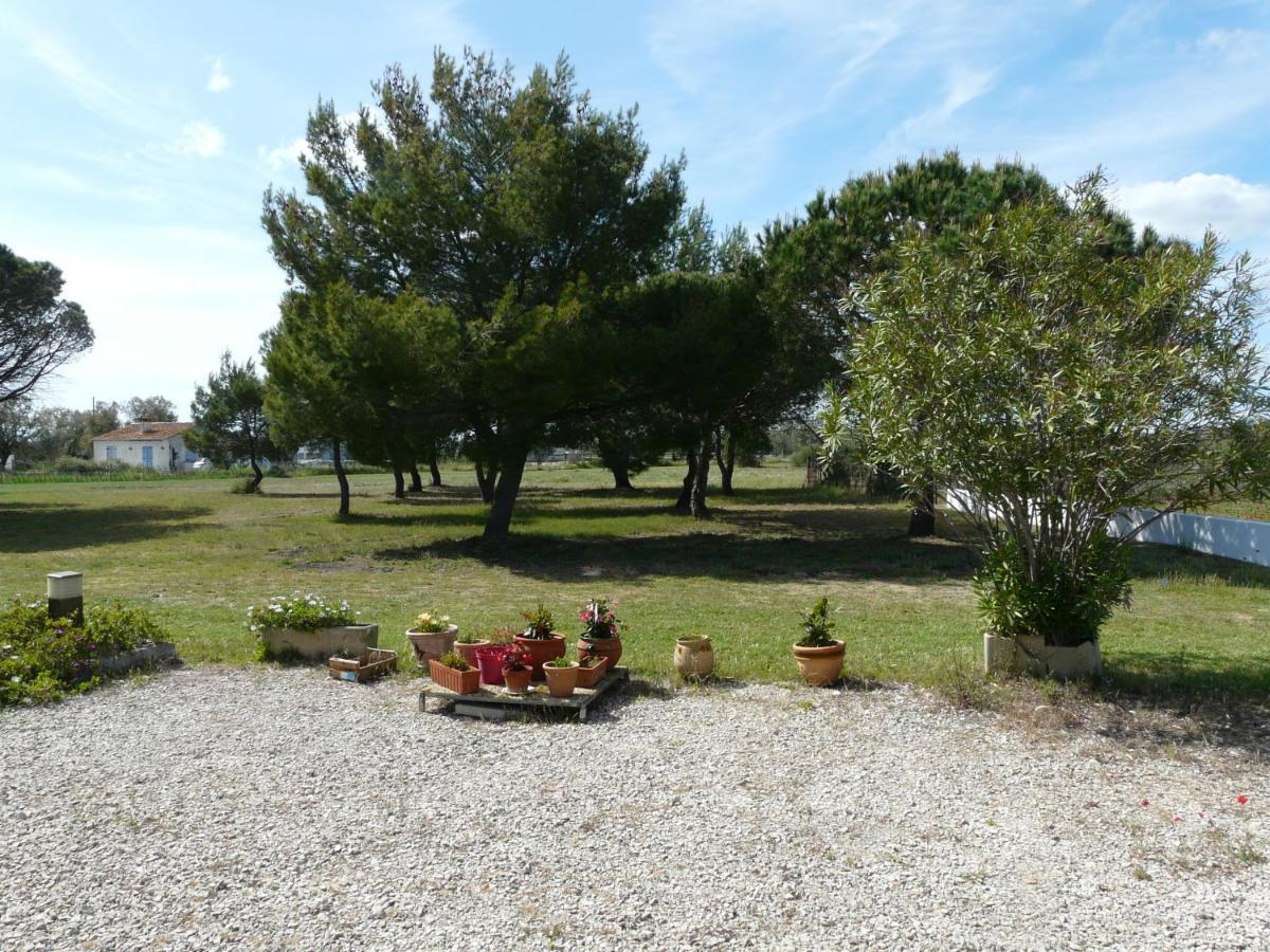 Mas Du Clos De La Barque Saintes-Maries-de-la-Mer Bagian luar foto